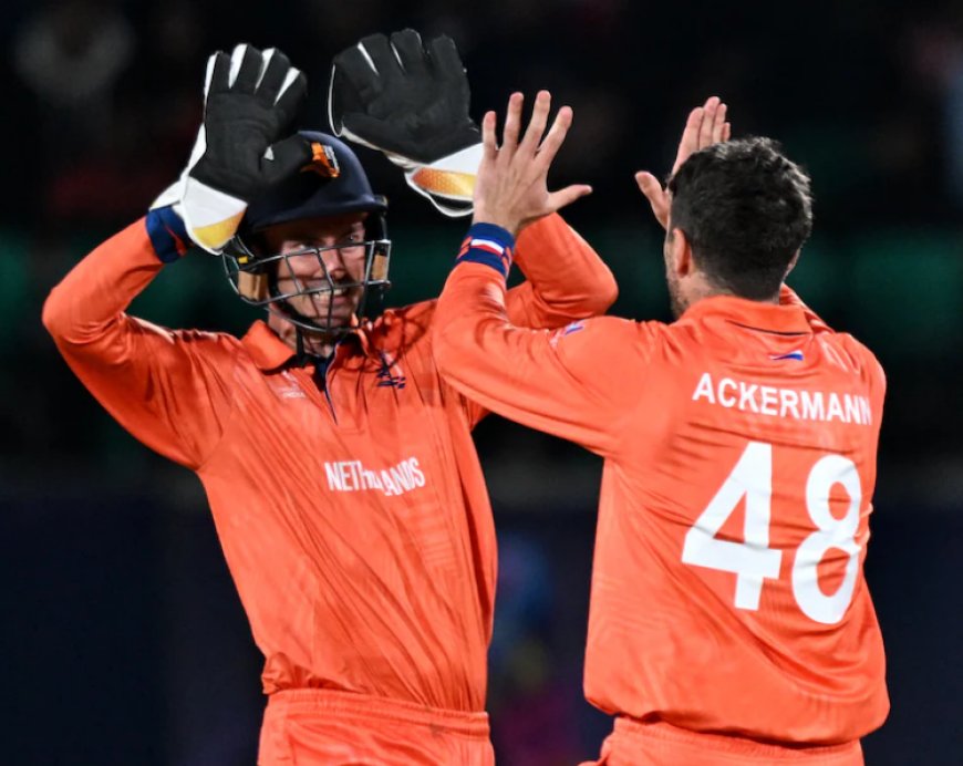 Netherlands Dreams of Semi-Final at Cricket World Cup 2023 After South Africa Surprise