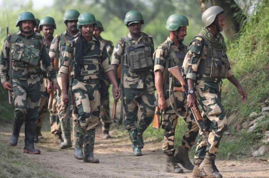 BSF Detains Two Bangladeshi Citizens in North Bengal for Illegal Entry