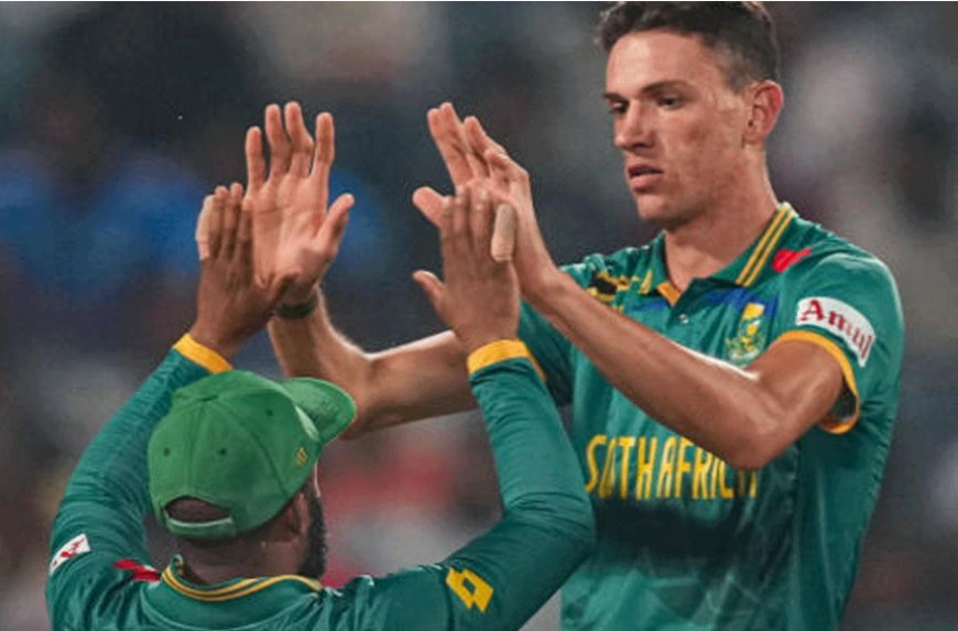 South Africa Crush New Zealand by 190 Runs in One-Sided Match