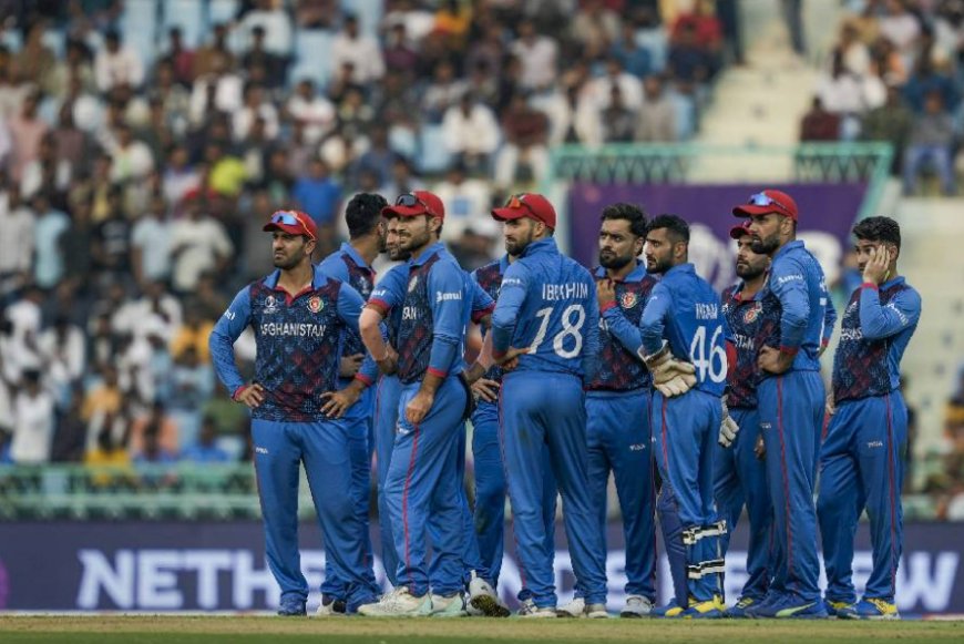 Afghanistan Coach Trott Believes World Cup Defeat to India Gave Them More Confidence