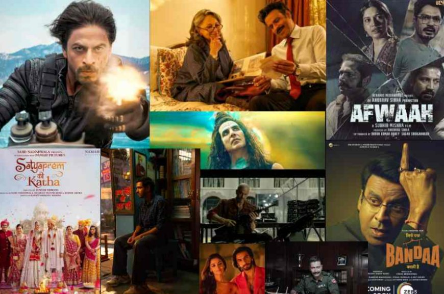 Bollywood's Diverse Cinematic Journey: Standout Films and Performances of 2023