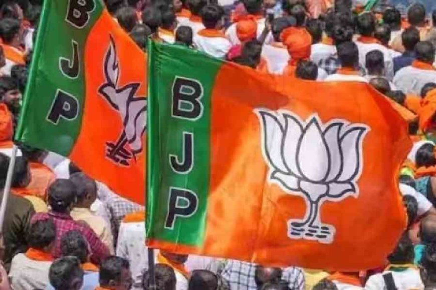 Echoes from the Ground: Decoding BJP’s Subdued Show and the Working Class Verdict