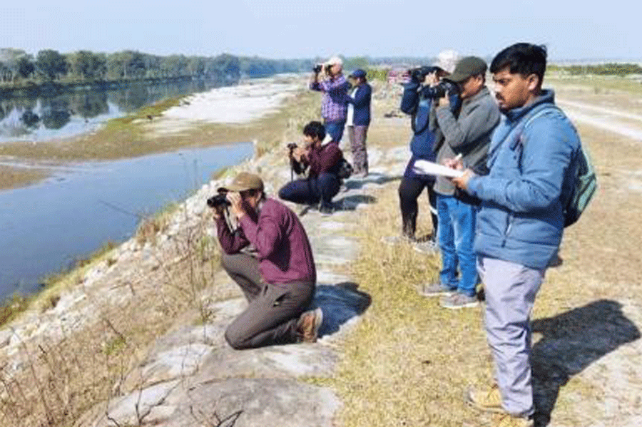North Bengal Faces Decline in Migratory Birds: Flood, Dry Spell Blamed for Fewer Waterfowl