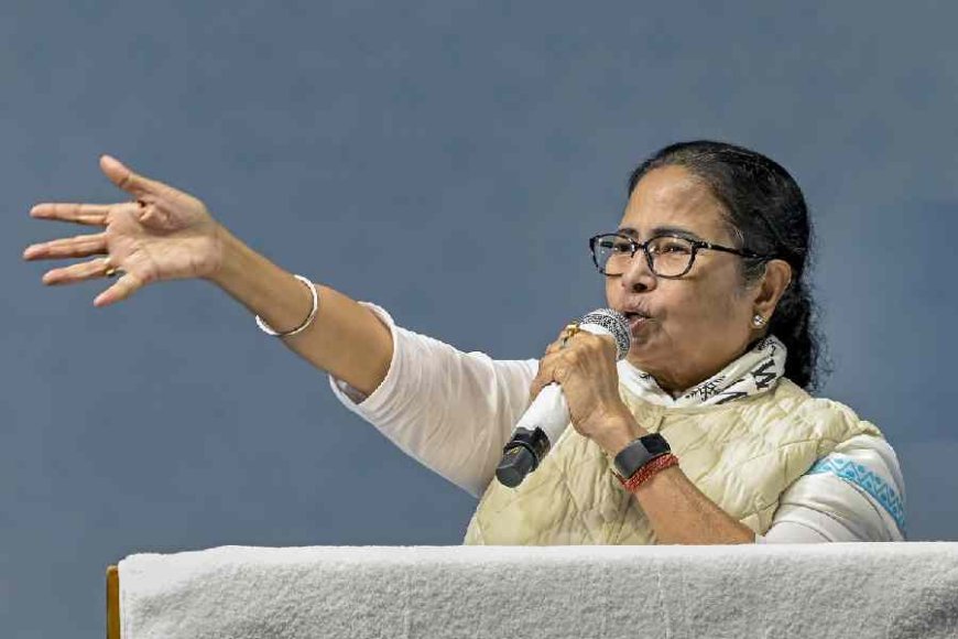 West Bengal CM Accuses BJP of Instigating Sandeshkhali Unrest; TMC Delegation Visits Area