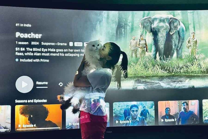 Alia Bhatt's Crime Thriller Series "Poacher" Tops India's Amazon Prime Video Charts