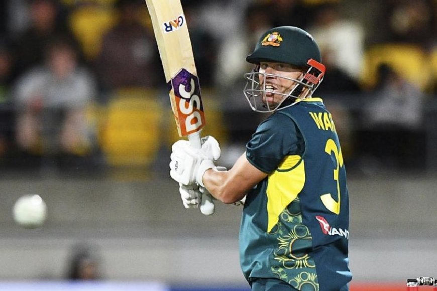 David Warner Expected to Recover for IPL Despite T20I Absence