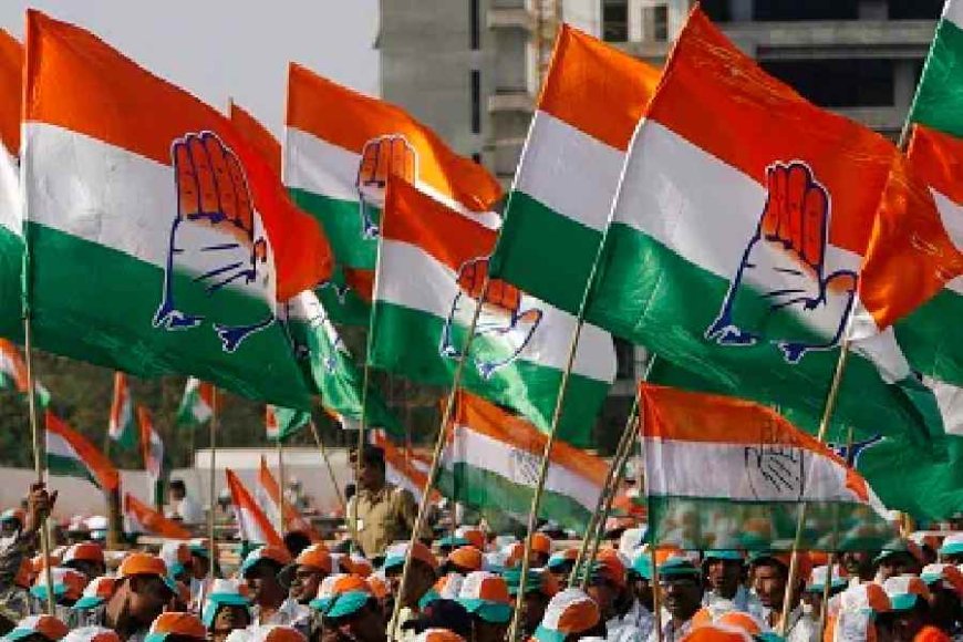Geniben Thakor's Unique Campaign: Crowdsourcing for Banaskantha Lok Sabha Seat | Gujarat Elections 2024