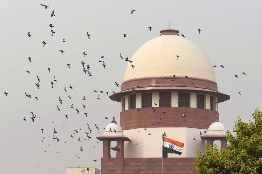 Special Tribunals Decide Nearly 2,000 Cases Involving Lawmakers in 2023, Supreme Court Informed