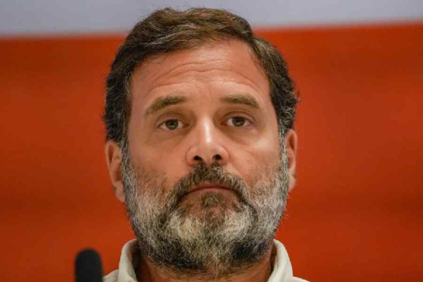 Academicians Accuse Rahul Gandhi of Spreading “Falsehood” About University Appointments