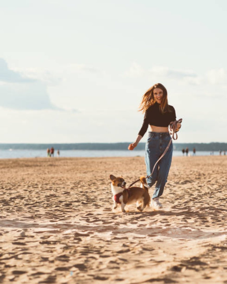 Can a morning walk really energize your day?