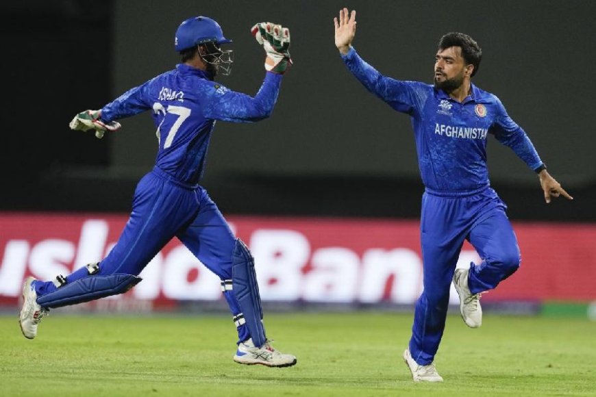 Afghanistan Creates History, Reaches T20 World Cup Semis